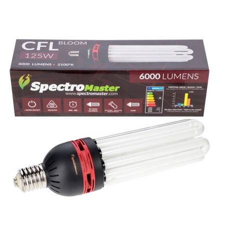 Spectromaster CFL 125W - 5U - 2100°K BLOOM