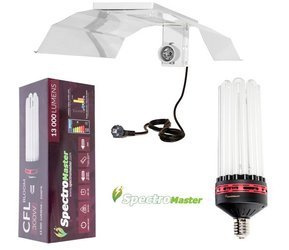 Zestaw  CFL Spectromaster 300W - Kwitnienie