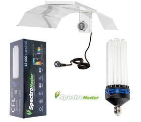 Zestaw  CFL Spectromaster 300W - Wzrost