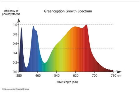 Greenception GC Bar Single 70W